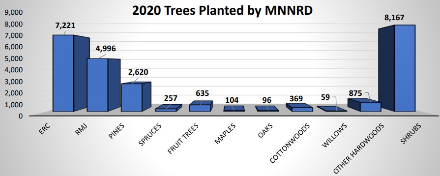 Graph of trees sold