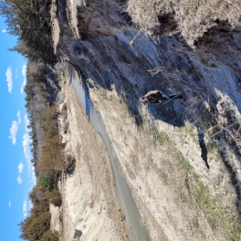 SD4 Project looking downstream