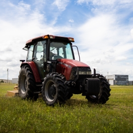 Mowing