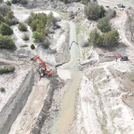SD4 Project looking downstream