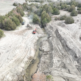 LPCW Phase 4 Project - Looking downstream