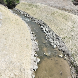 LPCW Phase 4 Project - Looking downstream