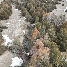 LPCW Phase 4 Project - Looking downstream