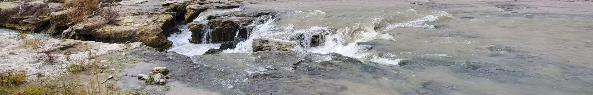 Bone Creek Head Cut - Sept 2019