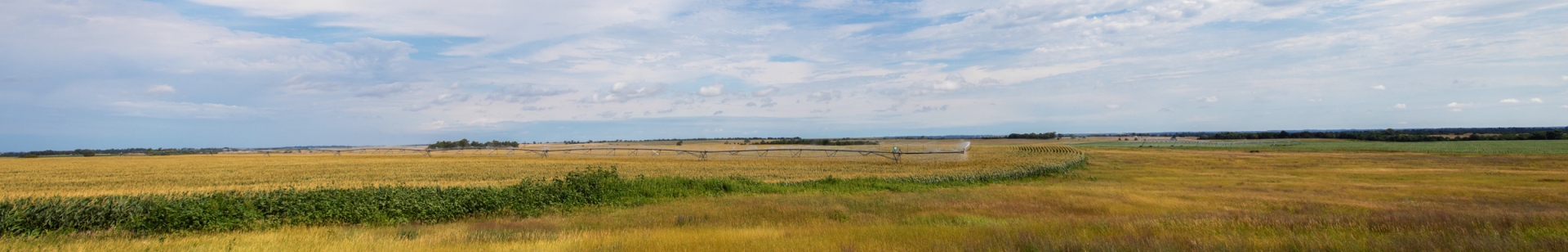 Pivot watering a field