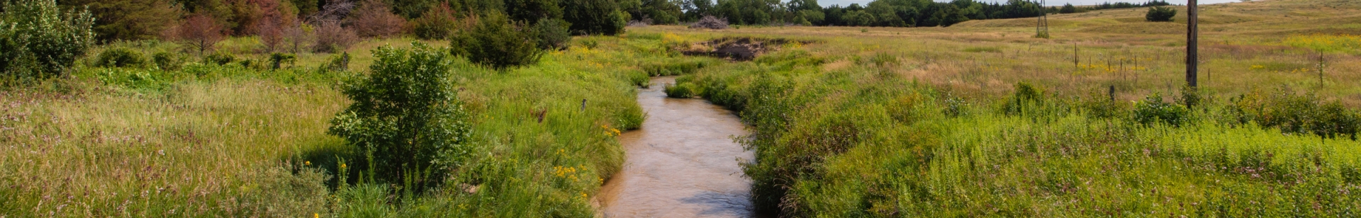 Sand draw creek