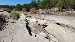 LPCW Restoration Phase 3 Site 