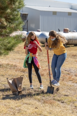 Students planting trees