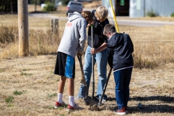 Students planting trees