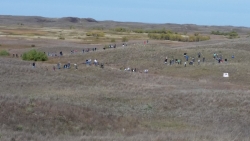 Open field for the Old West Regional Judging Contest