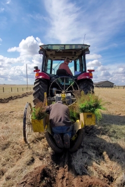 Planting trees