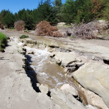 LPCW Restoration Phase 3 Site 