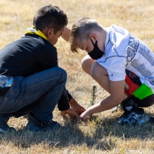 Students planting trees